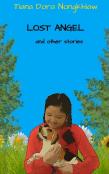 Lost Angel And Other Stories