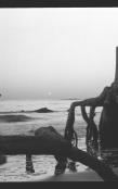 Lost At Sea