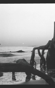 Lost At Sea
