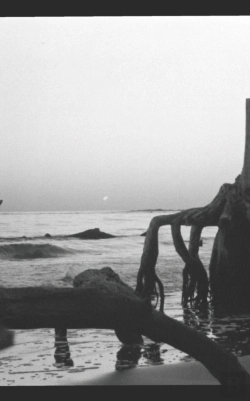 Bertrand.pt - Lost At Sea