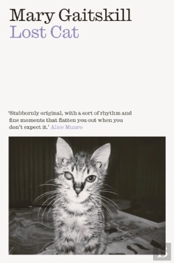Bertrand.pt - Lost Cat