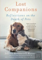 Lost Companions