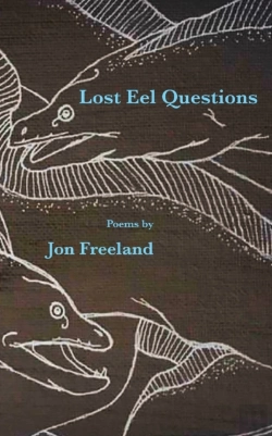 Bertrand.pt - Lost Eel Questions