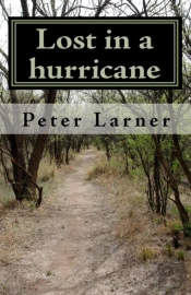 Lost In A Hurricane