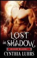 Lost In Shadow