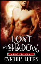 Lost In Shadow