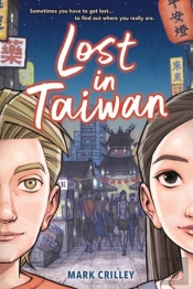 Lost In Taiwan (A Graphic Novel)