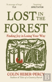 Lost In The Forest
