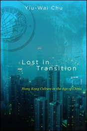 Lost In Transition