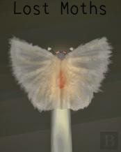 Lost Moths