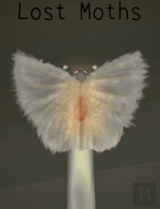 Lost Moths