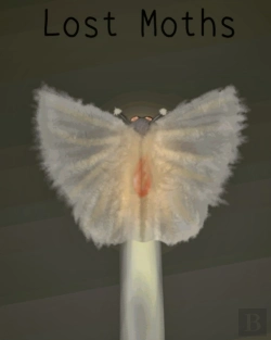 Bertrand.pt - Lost Moths