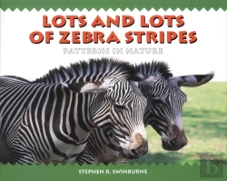 Bertrand.pt - Lots And Lots Of Zebra Stripes