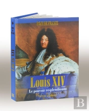 Louis Xiv ; Le Pouvoir Resplendissant