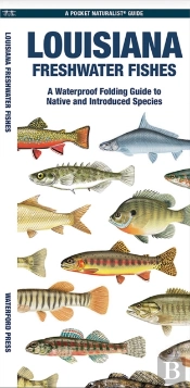 Louisiana Freshwater Fishes