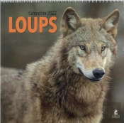 Loups - Calendrier 2022