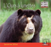 L'Ours À Lunettes