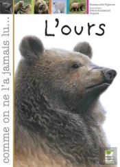 L'Ours