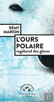 L'Ours Polaire, Vagabond Des Glaces