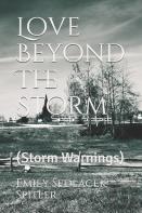 Love Beyond The Storm