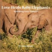 Love Heals Baby Elephants; Rebirthing Ivory Orphans