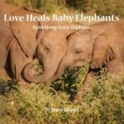 Love Heals Baby Elephants; Rebirthing Ivory Orphans