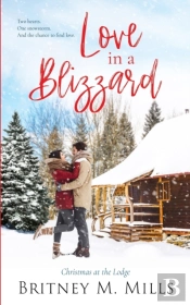 Love In A Blizzard