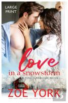 Love In A Snowstorm