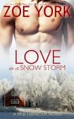 Love In A Snowstorm