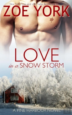 Bertrand.pt - Love In A Snowstorm
