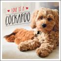 Love Is A Cockapoo