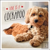 Love Is A Cockapoo