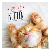 Love Is A Kitten