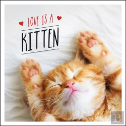 Bertrand.pt - Love Is A Kitten