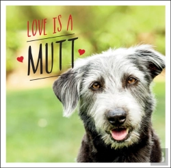 Bertrand.pt - Love Is A Mutt