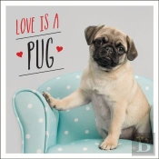 Love Is A Pug