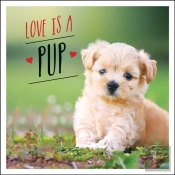 Love Is A Pup