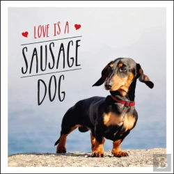 Bertrand.pt - Love Is A Sausage Dog