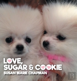 Bertrand.pt - Love Sugar & Cookie