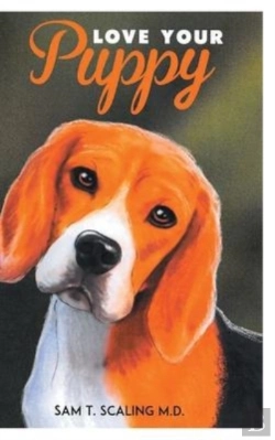 Bertrand.pt - Love Your Puppy