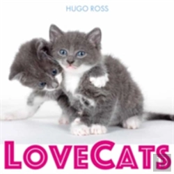 Bertrand.pt - Lovecats