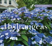 Lovely Lacecap Hydrangeas