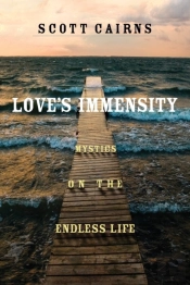 Love'S Immensity
