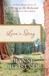 Love'S Story