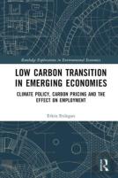 Low Carbon Transition In Emerging Economies