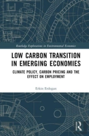 Low Carbon Transition In Emerging Economies