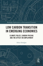 Low Carbon Transition In Emerging Economies