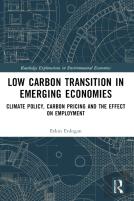 Low Carbon Transition In Emerging Economies