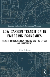 Low Carbon Transition In Emerging Economies