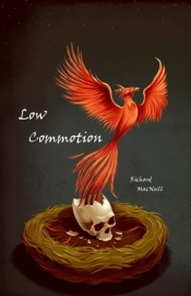 Low Commotion